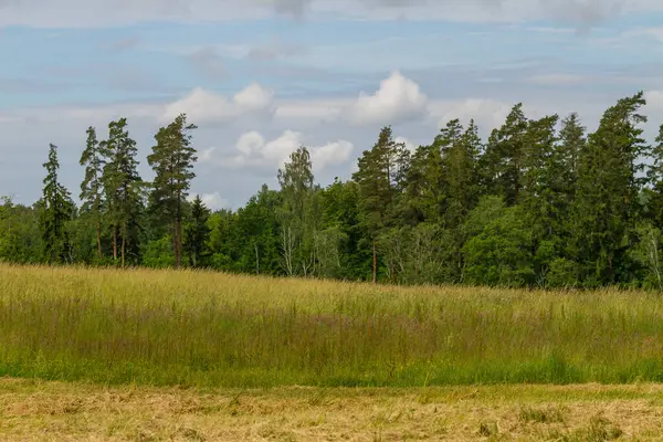 Yaz aylarında kırsal manzara.