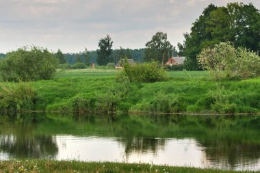 Letonya 'da nehir kenarındaki kırsal alan.