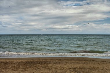 Kumsalı kuşlarla görmek.