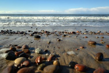 Baltık Denizi sahil şeridi.