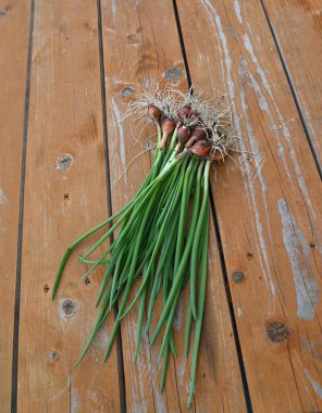 Masada bir demet yeşil soğan var..