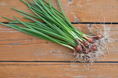 Masada bir demet yeşil soğan var..