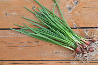 Masada bir demet yeşil soğan var..