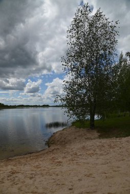 Bulutlu bir günde ağaçlarla dolu göl kıyısı.
