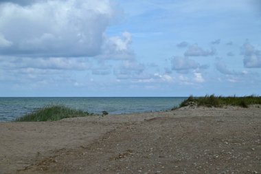 Baltık Denizi kıyısı manzarası.