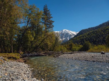 Irkis Vadisi 'nden, Arkhyz' den, Karachay-Cherkessia 'dan, Kuzey Kafkasya' dan. Mavi gökyüzü ve bulutlarıyla karlı dağ vadisi ve Kafkasya 'da Psysh nehrinin yakınında güzel bir orman. Alp manzarası.