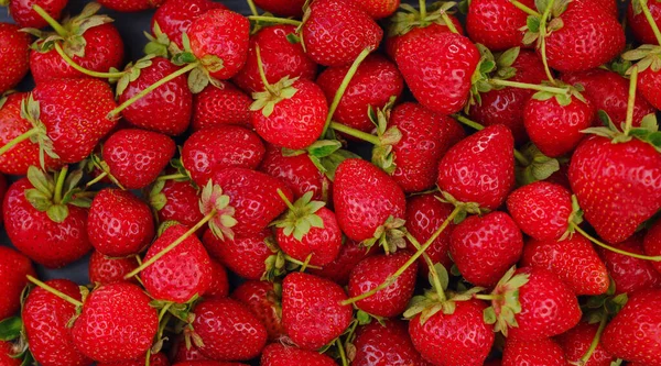 Fresas Orgánicas Frescas Sobre Fondo Oscuro Concepto Comida Saludable Vegetariana —  Fotos de Stock