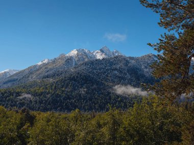 Irkis Vadisi 'nden, Arkhyz' den, Karachay-Cherkessia 'dan, Kuzey Kafkasya' dan. Mavi gökyüzü ve bulutlarıyla karlı dağ vadisi ve Kafkasya 'da Psysh nehrinin yakınında güzel bir orman. Alp manzarası.