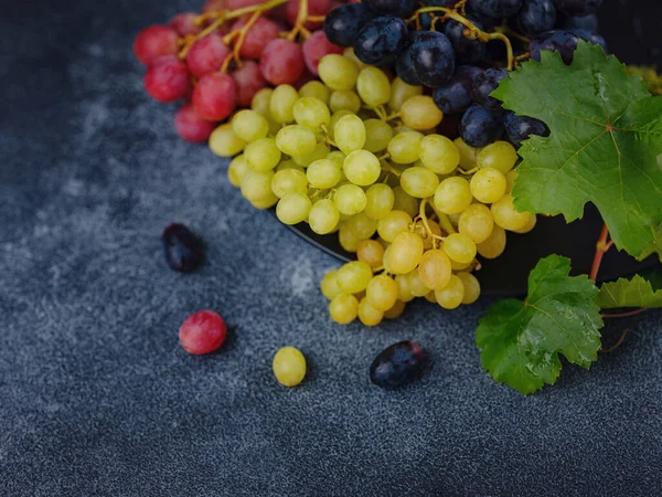 stock image Vineyard Harvest in autumn season. Crop and juice, Organic blue, red and green grapes on table viewed from above, concept wine