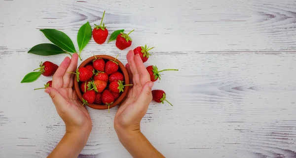 stock image Fresh organic strawberries , over white background. Vegetarian healthy food concept. woman hand taking strawberry