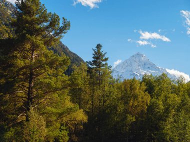 Irkis Vadisi 'nden, Arkhyz' den, Karachay-Cherkessia 'dan, Kuzey Kafkasya' dan. Mavi gökyüzü ve bulutlarıyla karlı dağ vadisi ve Kafkasya 'da Psysh nehrinin yakınında güzel bir orman. Alp manzarası.