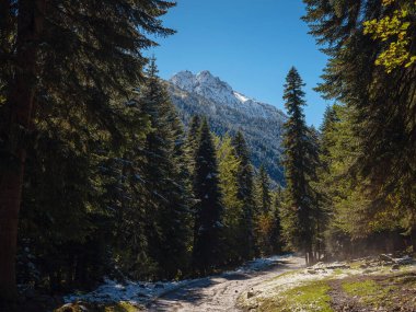 Irkis Vadisi 'nden, Arkhyz' den, Karachay-Cherkessia 'dan, Kuzey Kafkasya' dan. Mavi gökyüzü ve bulutlarıyla karlı dağ vadisi ve Kafkasya 'da Psysh nehrinin yakınında güzel bir orman. Alp manzarası.