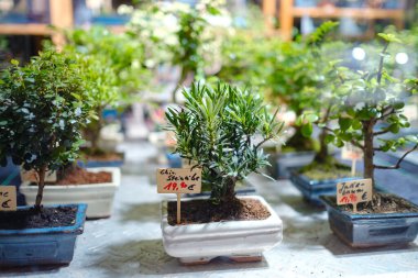 Essen, Almanya - 13 Aralık 2022: Noel atmosferi açık xmas pazarında. Noel 'i kutluyoruz. Avrupa 'daki panayırda ışıklar, atlıkarınca, küçük evler, oyuncaklar ve dekorasyonlar