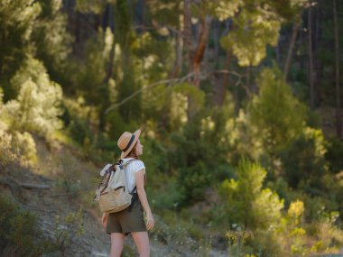 Beyaz, kızıl, genç, güzel, sırt çantalı, ormanda tek başına seyahat eden bir kadın. Çekici gezgin, tatil gezisi sırasında doğa ormanında mutluluk ve eğlenceyle yürürken etrafına bakar ve keşfederdi..