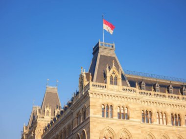 Scenic view of Viena capital, impressive gothic architecture of City hall or Rathaus . Travel and landmarks of Austria, details and flowers and flag of Vienna on buildings