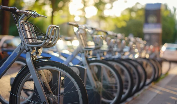 Munich Germany August 2022 Rental Bikes Parking Traffic City Transport — Stockfoto