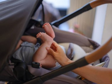 Çeşitli insanların portresi. İş ve anneliği dengeleyen yaratıcı iş kadını. Dizüstü bilgisayarla çalışan, emziren, kucağına alan ve kafede bebeğini emziren güzel bir anne..