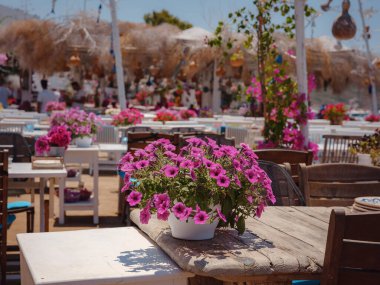 Bodrum 'dan Türkiye' ye yaz yolculuğu. Bodrum, Gumusluk Town 'daki Ege balık lokantası masası. Restoran masaları ve sandalyeler denizde.