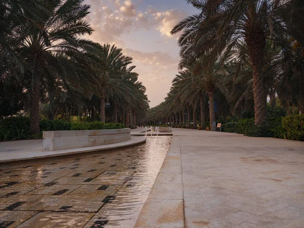 대도시 아부다비 아랍에미리트의 움알에 마라트 공원에 공원이다 전시관 식물원 — 스톡 사진