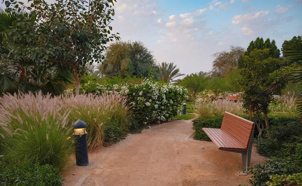 Stock image Large green evening park in the big city, Umm Al Emarat Park in Abu Dhabi UAE. park with indoor pavilion and botanical garden