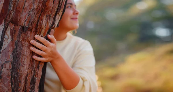 Γυναίκα Αγαπούν Φύση Αγκαλιάζει Πεύκο Δεν Έννοια Αποψίλωση Των Δασών — Φωτογραφία Αρχείου