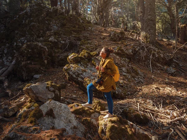 Caucasian Woman Enjoys Being Nature Beautiful Forest Mountains Embracing Fresh — Stockfoto