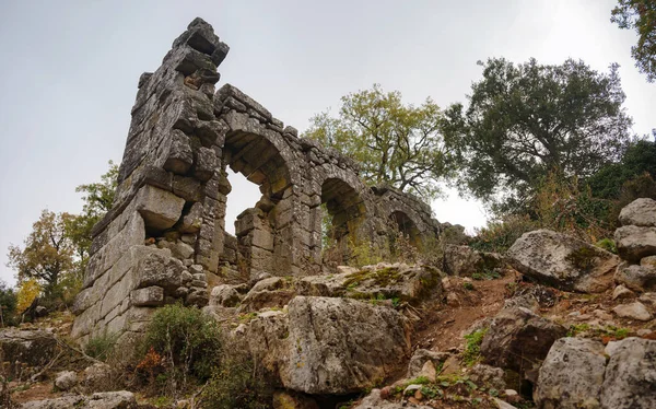 Passeggiata Autunnale Presso Termessos Ancient City Turchia Tacchini Siti Archeologici — Foto Stock