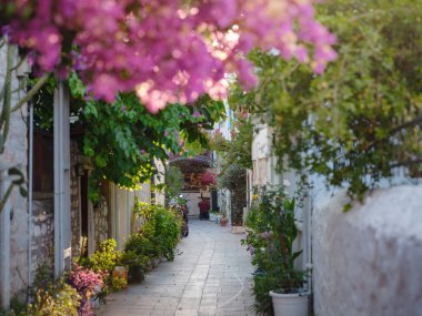 Blooming bougainvillea, streets of the old town of Bodrum, Turkey. Happy traveler woman in white elegant outfit walking by romantic streets . Summer travelling