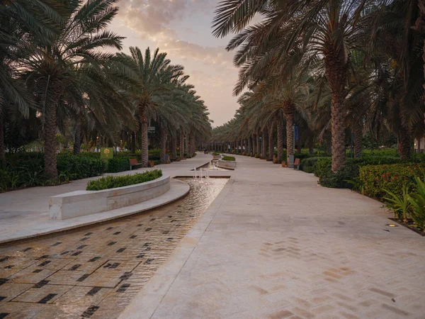 대도시 아부다비 아랍에미리트의 움알에 마라트 공원에 공원이다 전시관 식물원 — 스톡 사진
