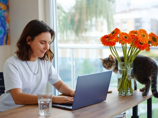 stock image young woman freelancer work from home at laptop . Work or study online with pet at home office on living room. Cat walking on table with orange flowers.