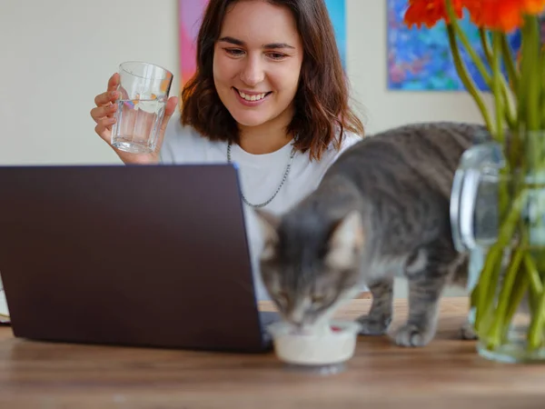 young woman freelancer work from home at laptop . Work or study online with pet at home office on living room. Cat eating on table.
