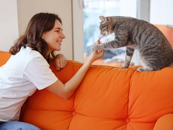 年轻的女人正在家里的橙色沙发上和灰猫玩耍 对宠物 性格复杂的猫 无情而狂野的猫的友谊之爱概念 免版税图库照片
