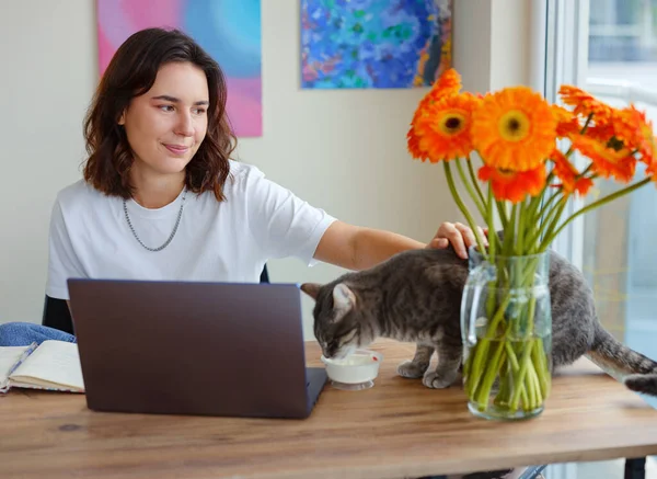 young woman freelancer work from home at laptop . Work or study online with pet at home office on living room. Cat eating on table.
