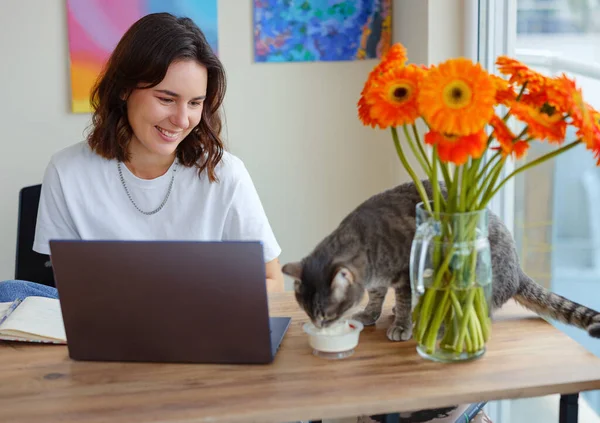 stock image young woman freelancer work from home at laptop . Work or study online with pet at home office on living room. Cat eating on table.