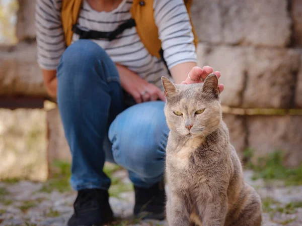 Kvinna Klappa Katt Utanför Stray Eller Feral Cat Gatan Staden — Stockfoto