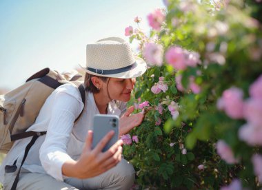 Kadın aromanın tadını çıkarıyor ve güneşli yaz gününde Şam Tarlası güllerinde akıllı telefonuyla fotoğraf çekiyor. Türkiye 'nin Isparta bölgesindeki Guneykent köyü eko-turizm için gerçek bir cennet.