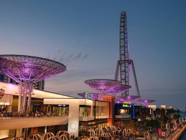 Dubai, Birleşik Arap Emirlikleri, 26 Mart 2023: Meraas 'ın Mavi sularında yer alan dünyanın en uzun dönme dolabının gece görüşü..