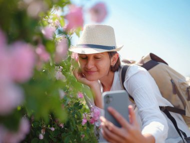 Kadın aromanın tadını çıkarıyor ve güneşli yaz gününde Şam Tarlası güllerinde akıllı telefonuyla fotoğraf çekiyor. Türkiye 'nin Isparta bölgesindeki Guneykent köyü eko-turizm için gerçek bir cennet.