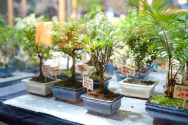 Essen, Almanya - 13 Aralık 2022: Noel atmosferi açık xmas pazarında. Noel 'i kutluyoruz. Avrupa 'daki panayırda ışıklar, atlıkarınca, küçük evler, oyuncaklar ve dekorasyonlar