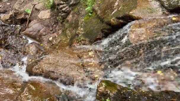 Rio Riacho Cachoeira Vista Fluindo Floresta Cachoeira Rochas Floresta Cachoeira — Vídeo de Stock