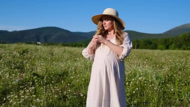 Młoda Piękna Kobieta Ciąży Cieszyć Pole Rumianku Pojęcie Ciąży Macierzyństwa — Wideo stockowe