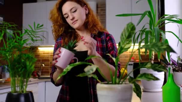 Kızıl Saçlı Kadın Bitkilerle Ilgileniyor Çiçekleri Sularken Odada Dikilen Bitkilere — Stok video