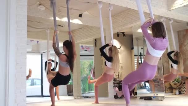 Clase Yoga Con Mosca Grupo Femenino Colgado Hamacas Yoga Mosca — Vídeos de Stock