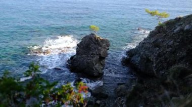 Türkiye, Phaselis 'e gezi, denizde bir kayanın üzerinde çam ağacı. macera, aktif tatiller ve eko turizm konsepti. Lycian Yolu Türkiye 'de uzun ve popüler bir rotadır