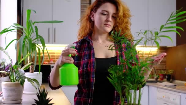 Rudowłosa Kobieta Zajmuje Się Roślinami Podlewania Roślin Domowych Stojąc Pokoju — Wideo stockowe