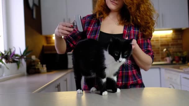 Mujer Pelo Rojo Joven Peinándola Con Gato Blanco Negro Cocina — Vídeo de stock