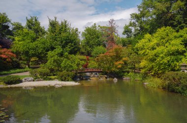 Viyana 'da bir yaz günü Japon parkı. Zetagaya Parkı, nisandan ekim ayına kadar halka açık kiraz ağaçları ve balık havuzlu küçük, sessiz bir Japon bahçesidir..