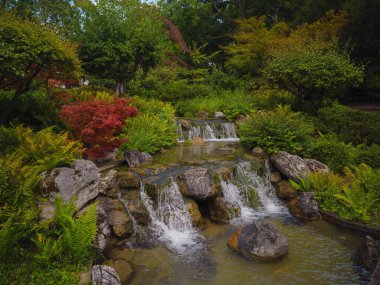 Viyana 'da bir yaz günü Japon parkı. Zetagaya Parkı, nisandan ekim ayına kadar halka açık kiraz ağaçları ve balık havuzlu küçük, sessiz bir Japon bahçesidir..