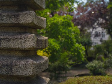 Viyana 'da bir yaz günü Japon parkı. Zetagaya Parkı, nisandan ekim ayına kadar halka açık kiraz ağaçları ve balık havuzlu küçük, sessiz bir Japon bahçesidir..
