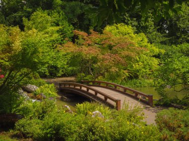 Viyana 'da bir yaz günü Japon parkı. Zetagaya Parkı, nisandan ekim ayına kadar halka açık kiraz ağaçları ve balık havuzlu küçük, sessiz bir Japon bahçesidir..